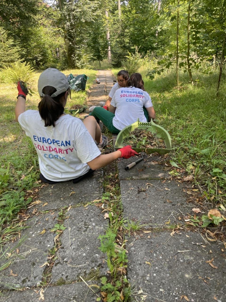 Fundacja Benevolens - galeria